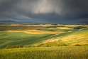 012 Steptoe Butte SP